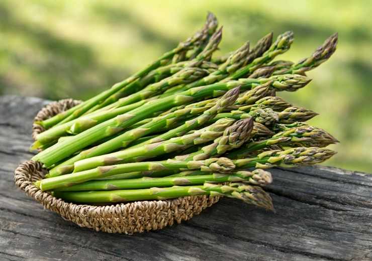 Asparagi