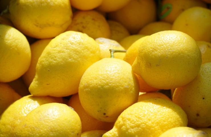 Limoni