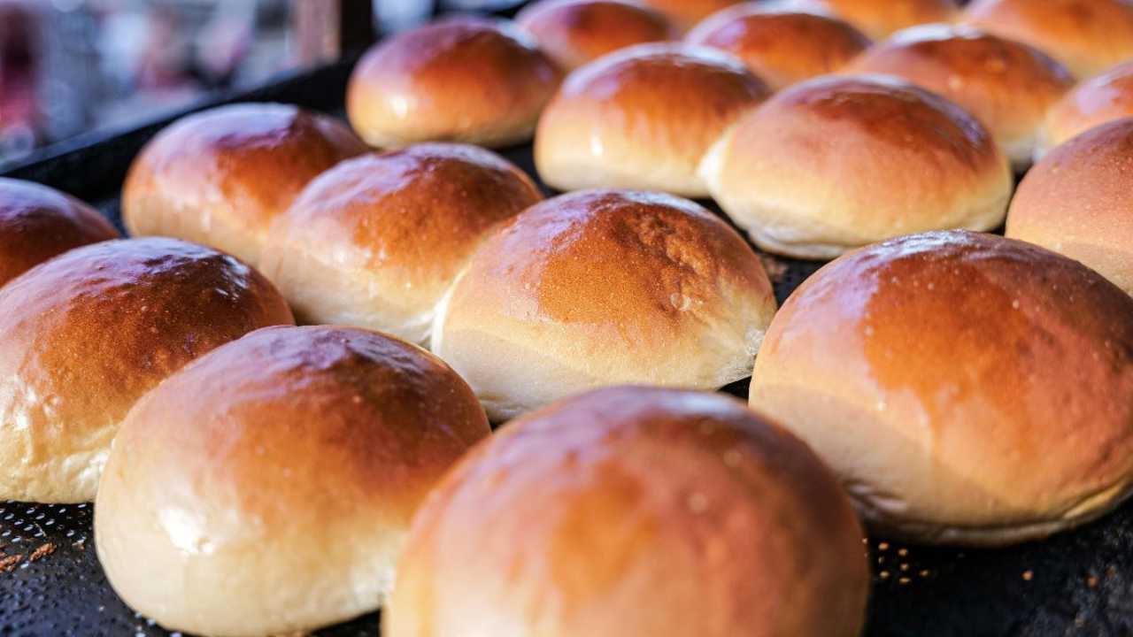 Panini al latte