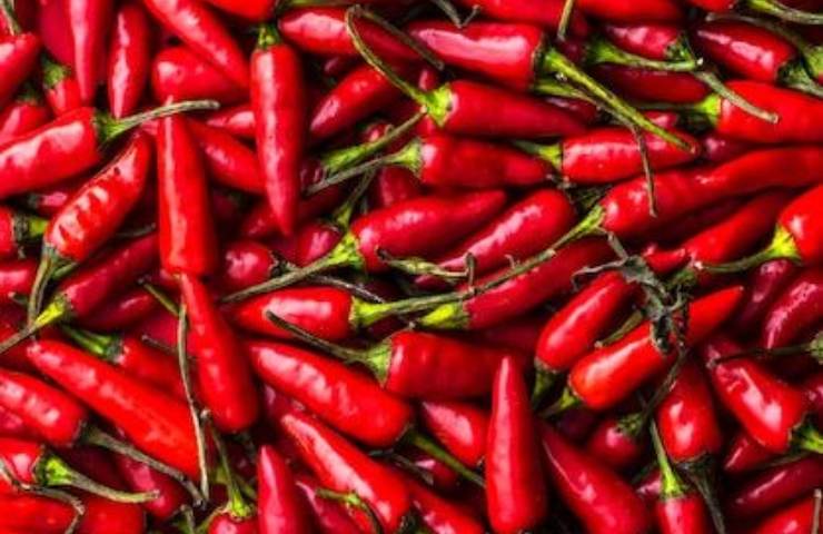 Peperoncino 