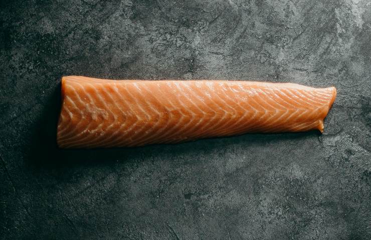 Trancio di salmone