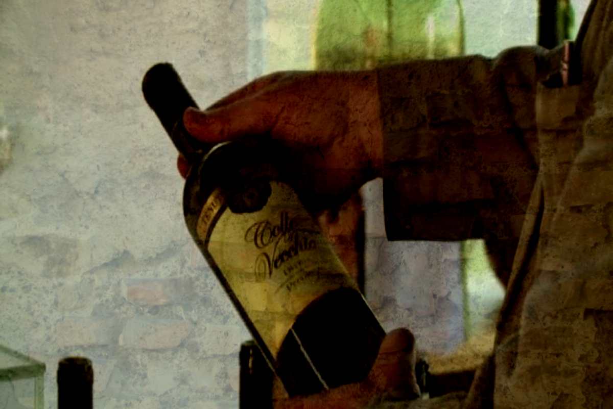 uomo tiene in mano una bottiglia di vino