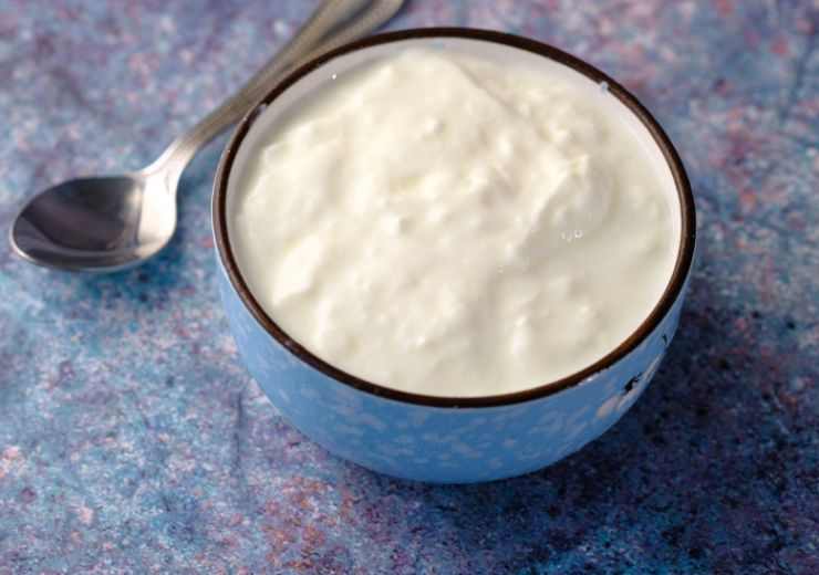 Yogurt 