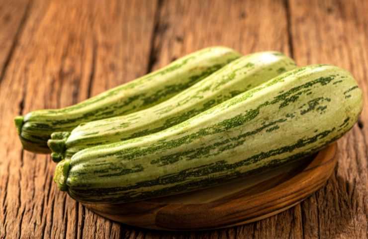 Zucchine