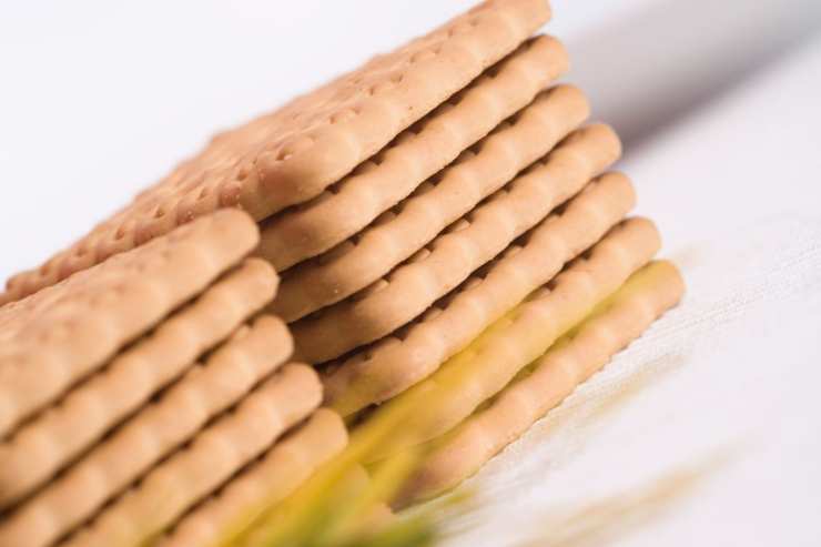 Salame di cioccolato