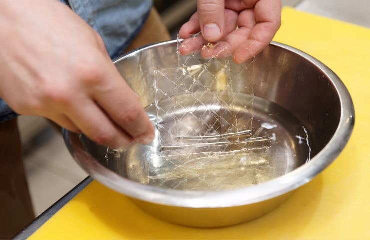 fogli gelatina