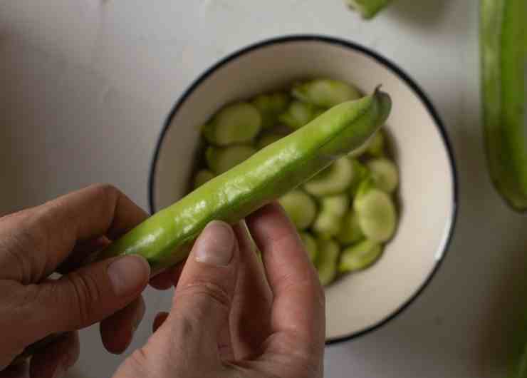 fave alla menta