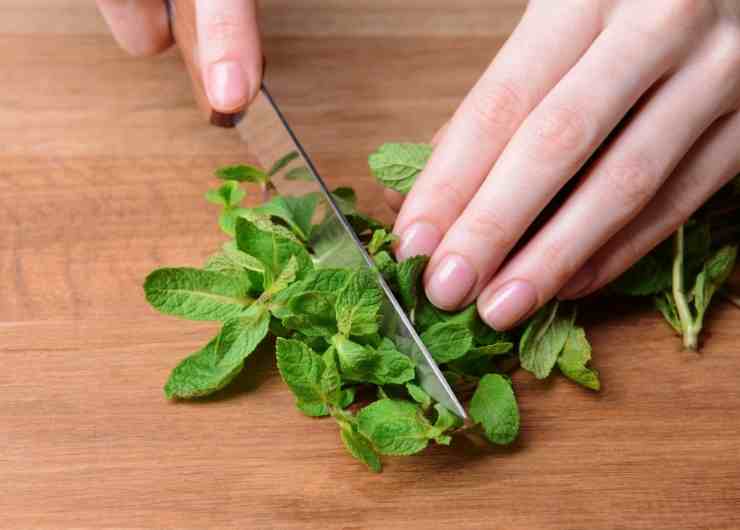 fave alla menta