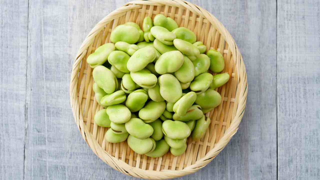 fave alla menta
